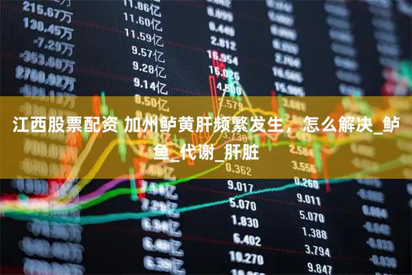 江西股票配资 加州鲈黄肝频繁发生，怎么解决_鲈鱼_代谢_肝脏
